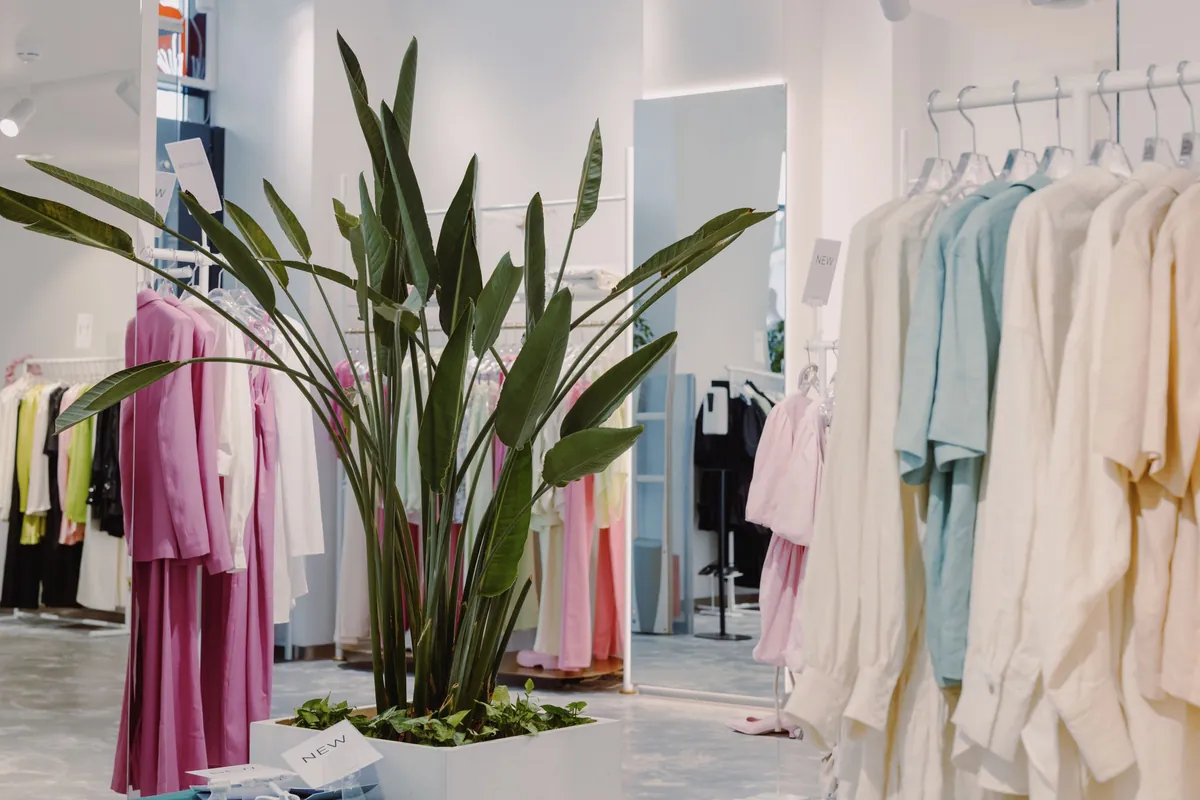 Bright boutique with clothing racks and a large plant